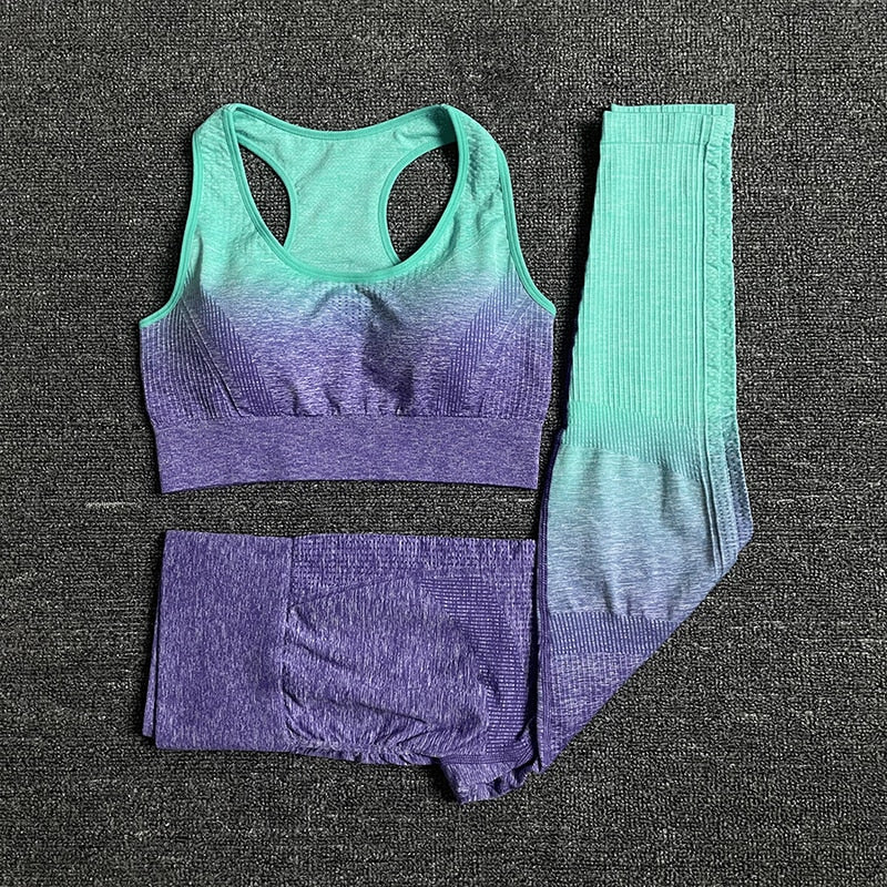 Seamless Women Yoga Set Workout Sportswear